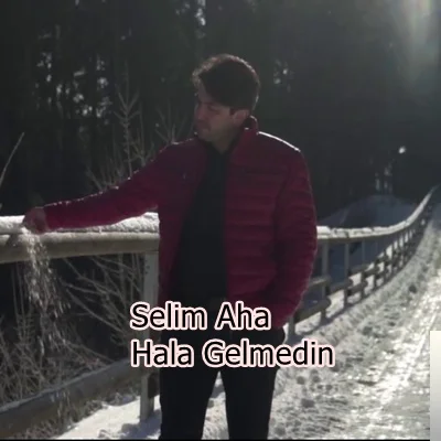 Hala Gelmedin (2020)