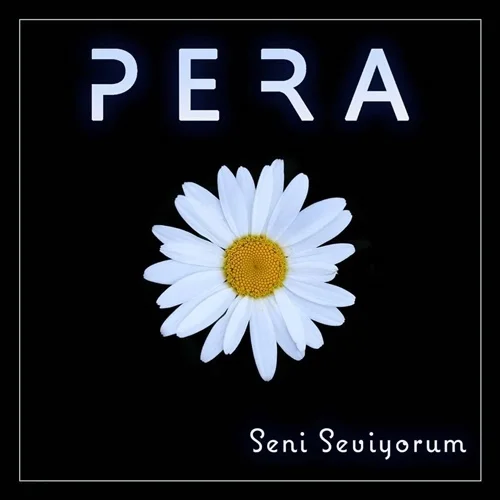 Seni Seviyorum (2020)