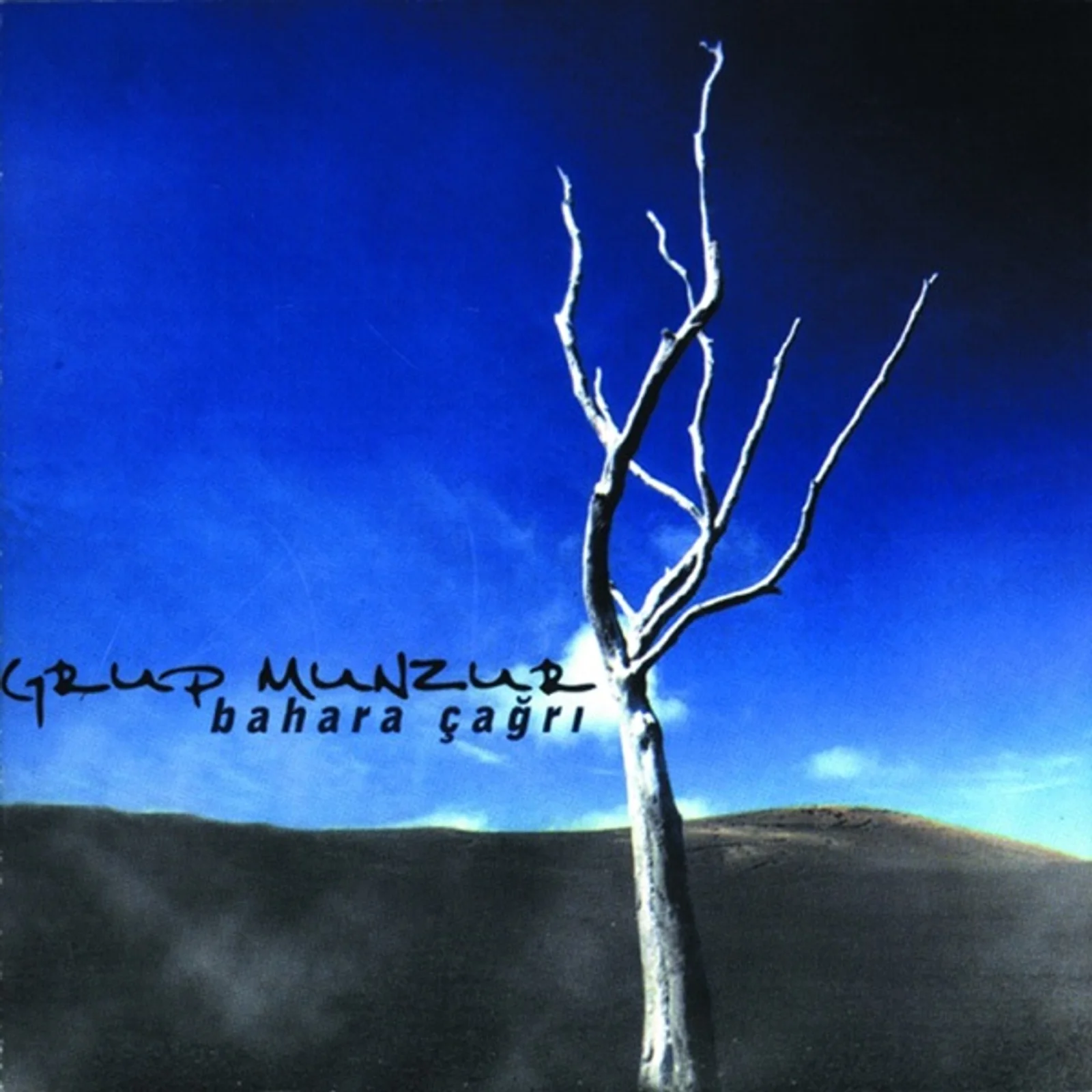 Bahara Çağrı (2003)