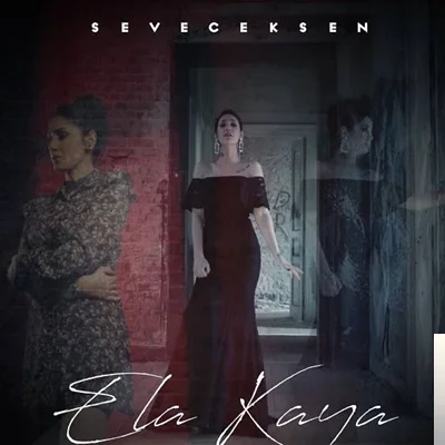 Seveceksen (2020)