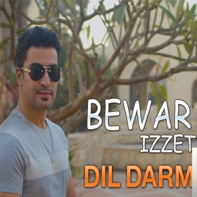 Dil Darim (2020)