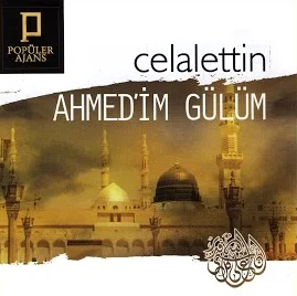 Ahmedim Gülüm (2017)