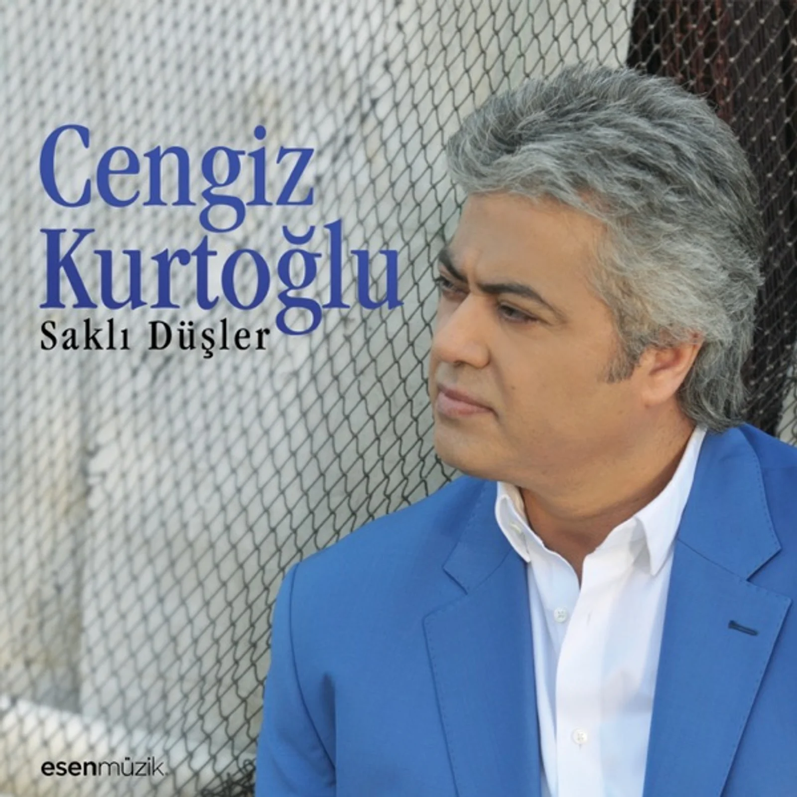 Saklı Düşler (2014)