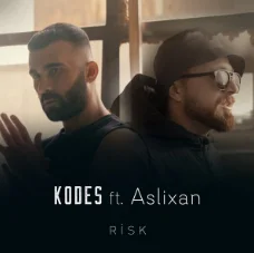 Risk (2020)
