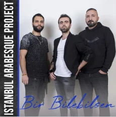 Bir Bilebilsen (2020)