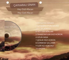 Hey Gidi Afacan (2000)