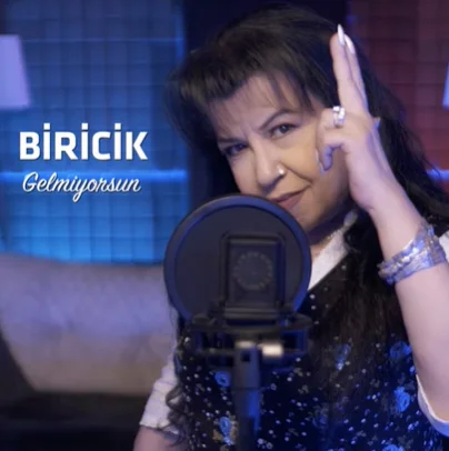 Gelmiyorsun (2020)