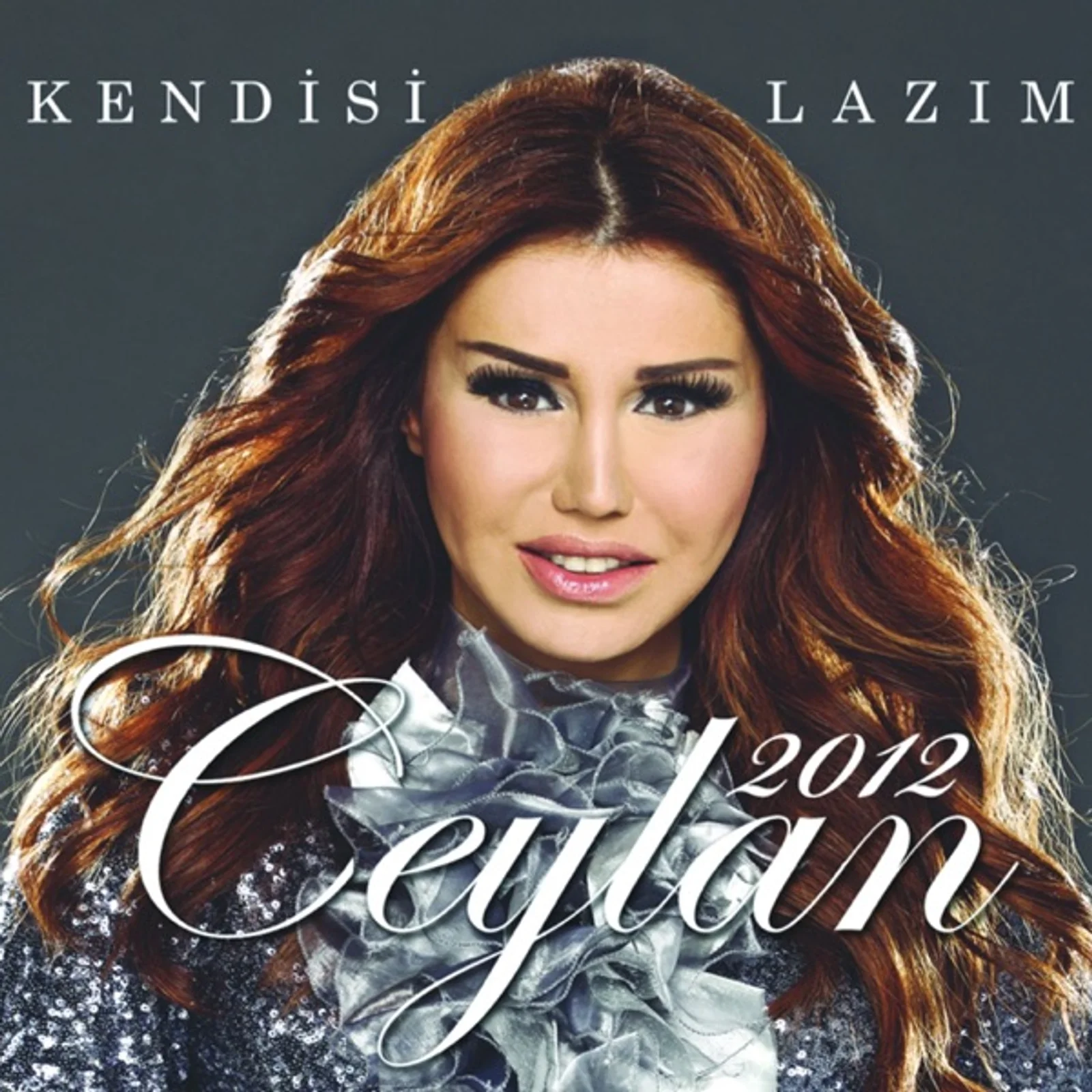 Kendisi Lazım (2012)