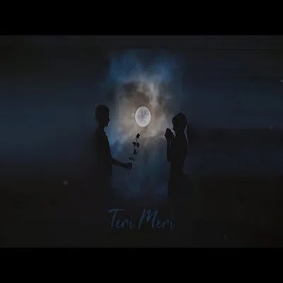 Teri Meri (2020)