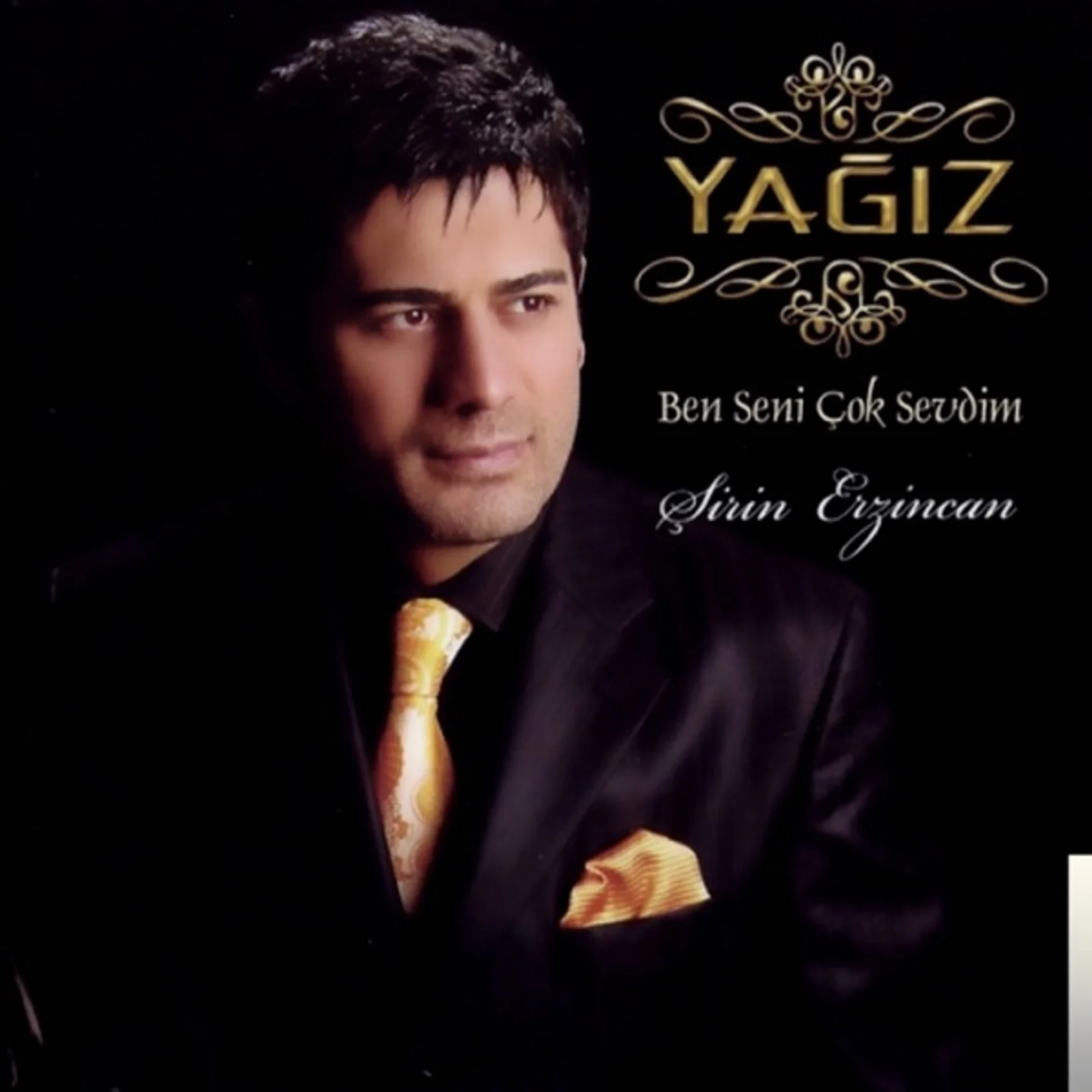 Ben Seni Çok Sevdim (2009)