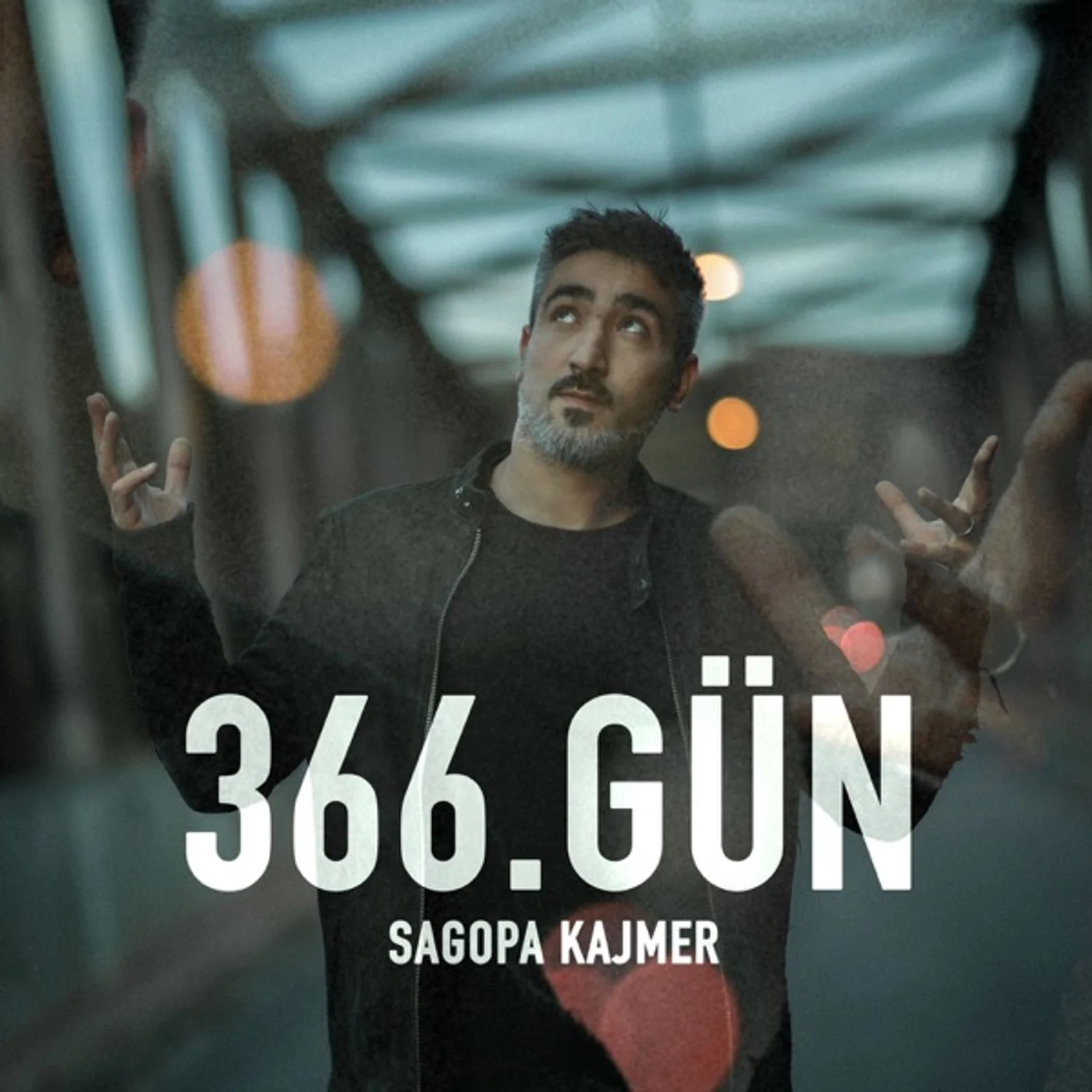 366. Gün (2017)