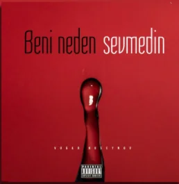 Beni Neden Sevmedin (2021)