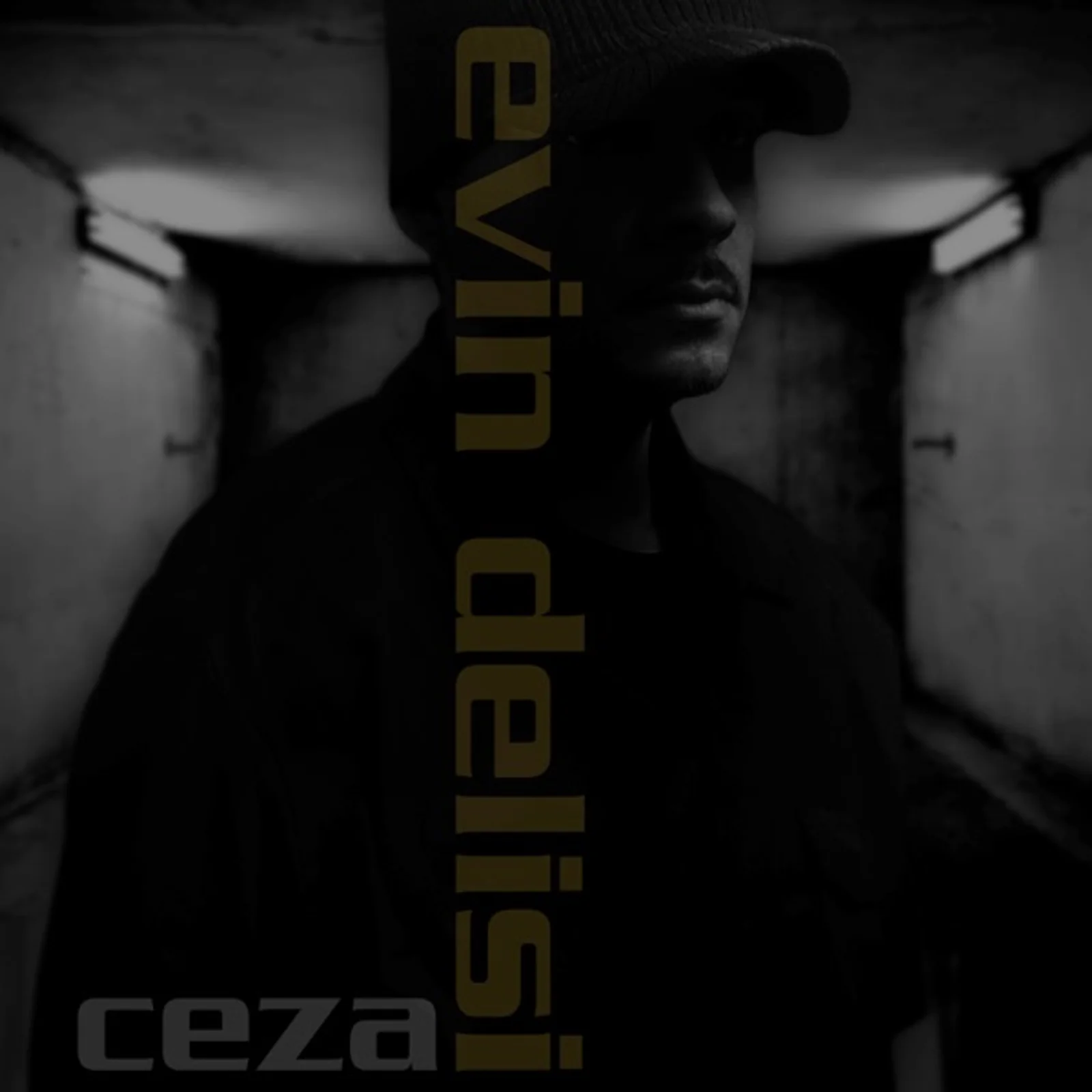 Evin Delisi (2007)