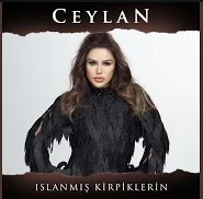 Islanmış Kirpiklerin (2021)