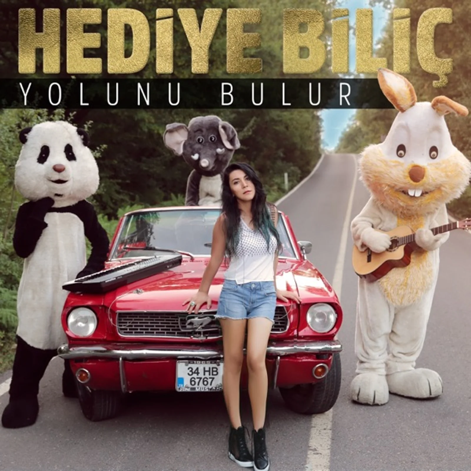 Yolunu Bulur (2017)