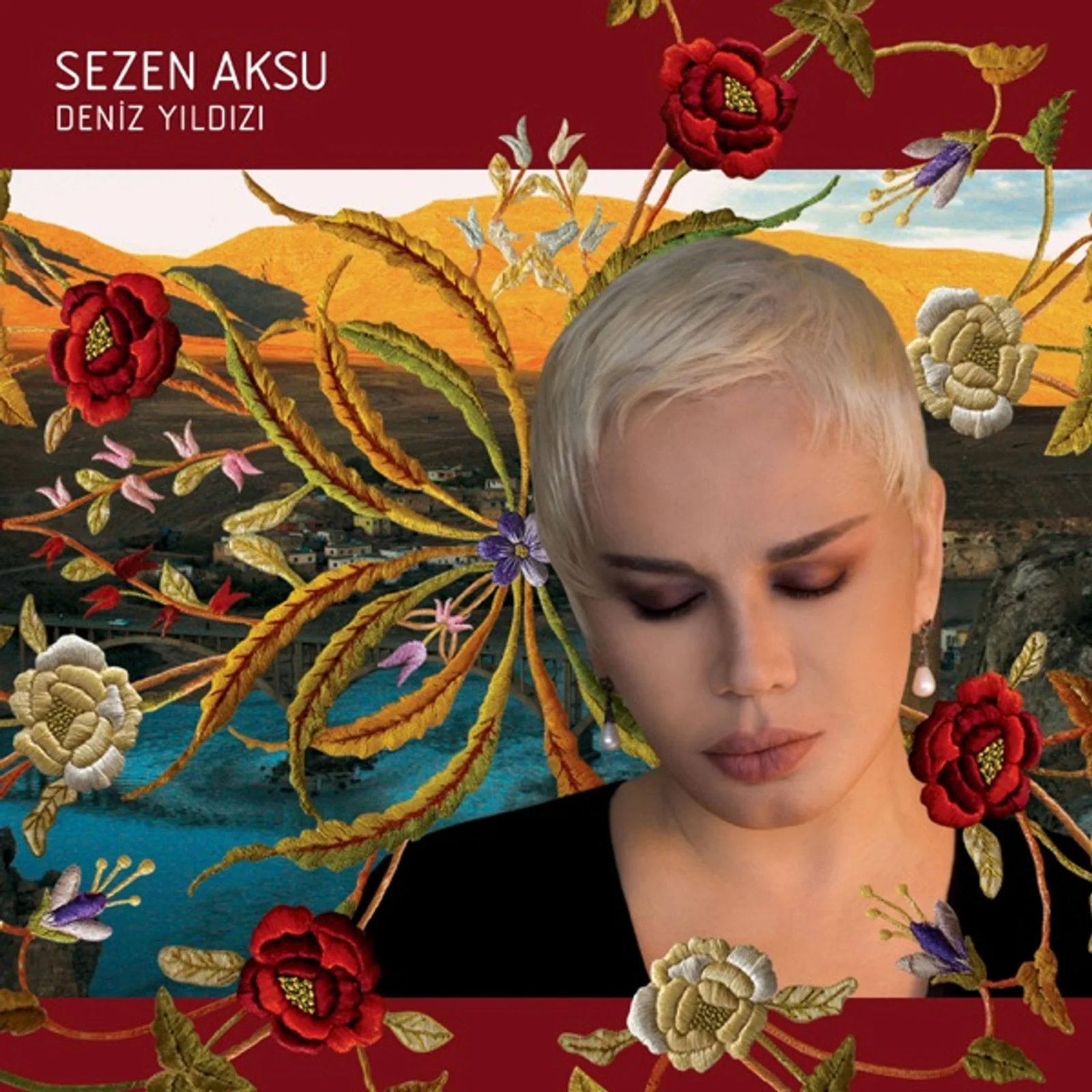 Deniz Yıldızı (2008)