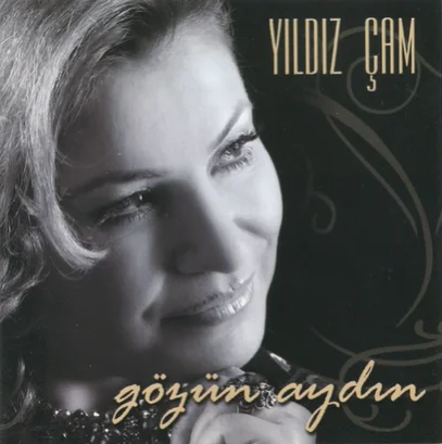 Gözün Aydın (2007)