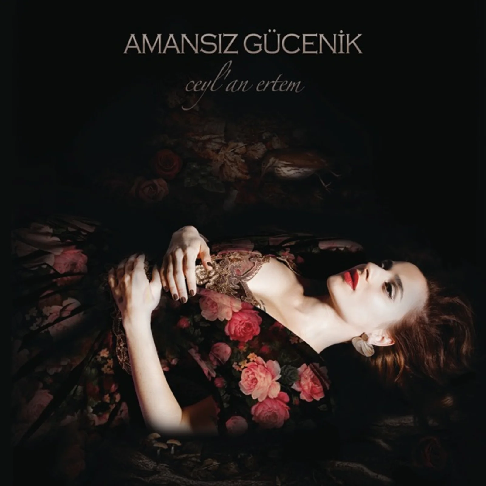 Amansız Gücenik (2014)