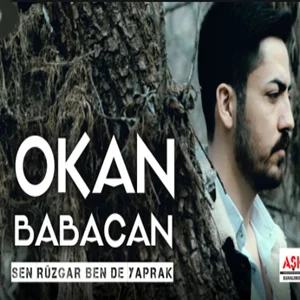 Sen Rüzgar Ben De Yaprak (2021)
