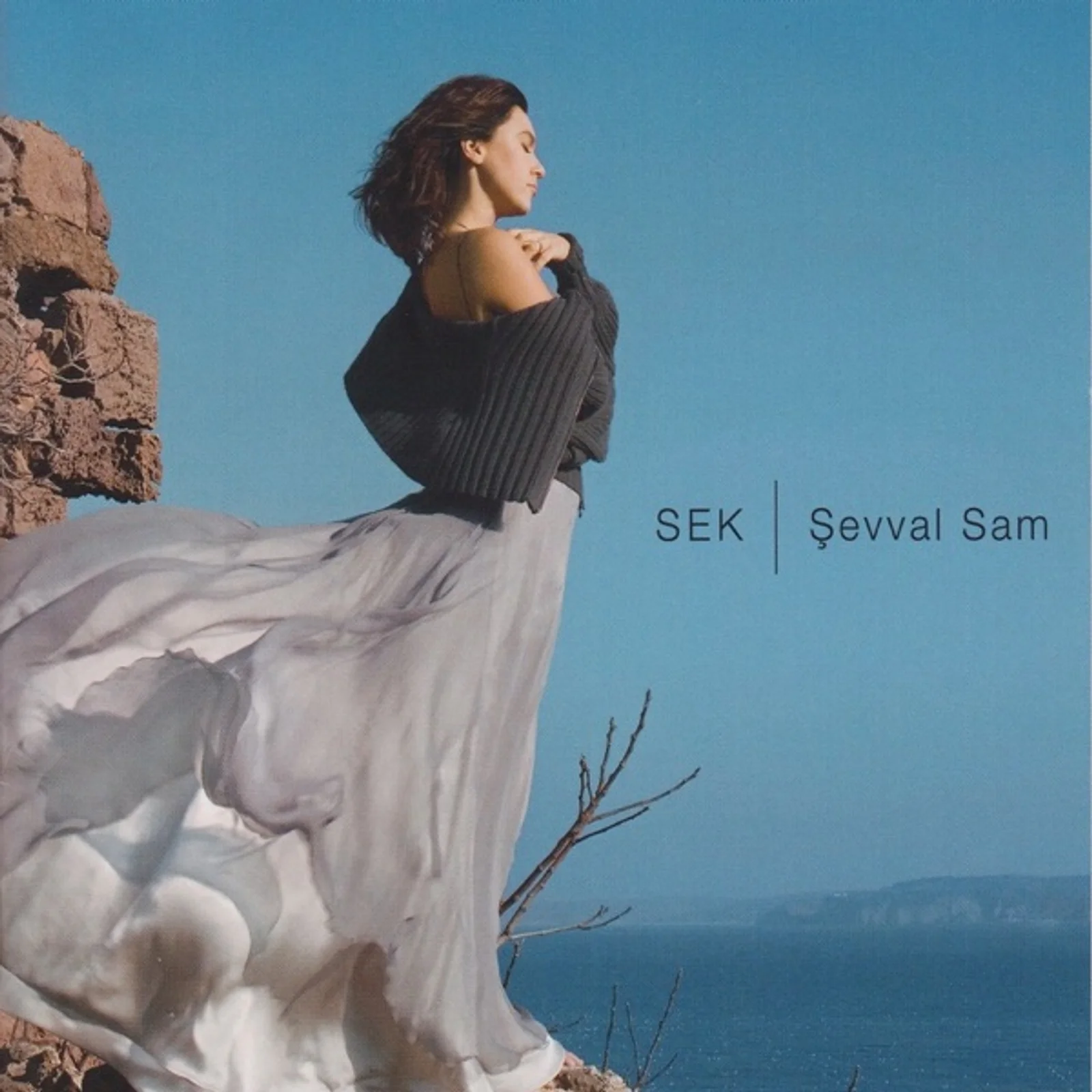 Sek (2006)