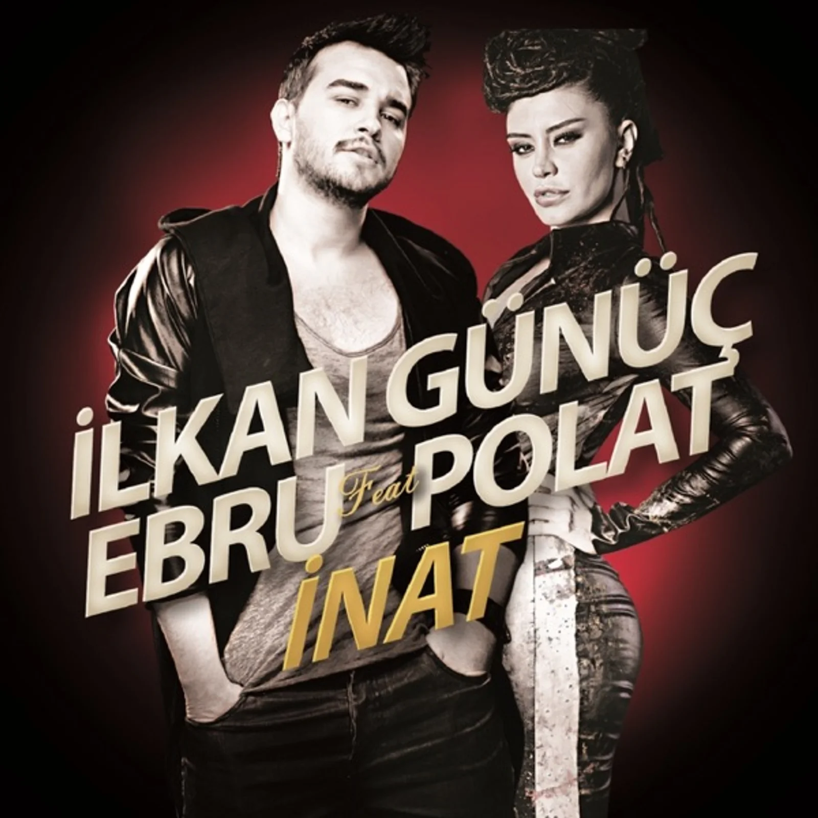 İnat (2014)