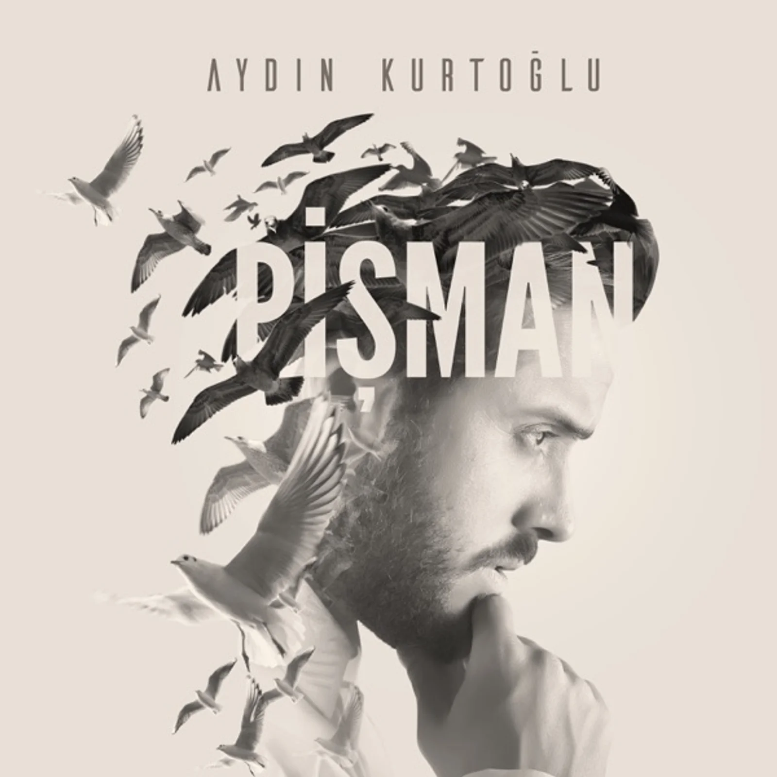 Pişman (2017)