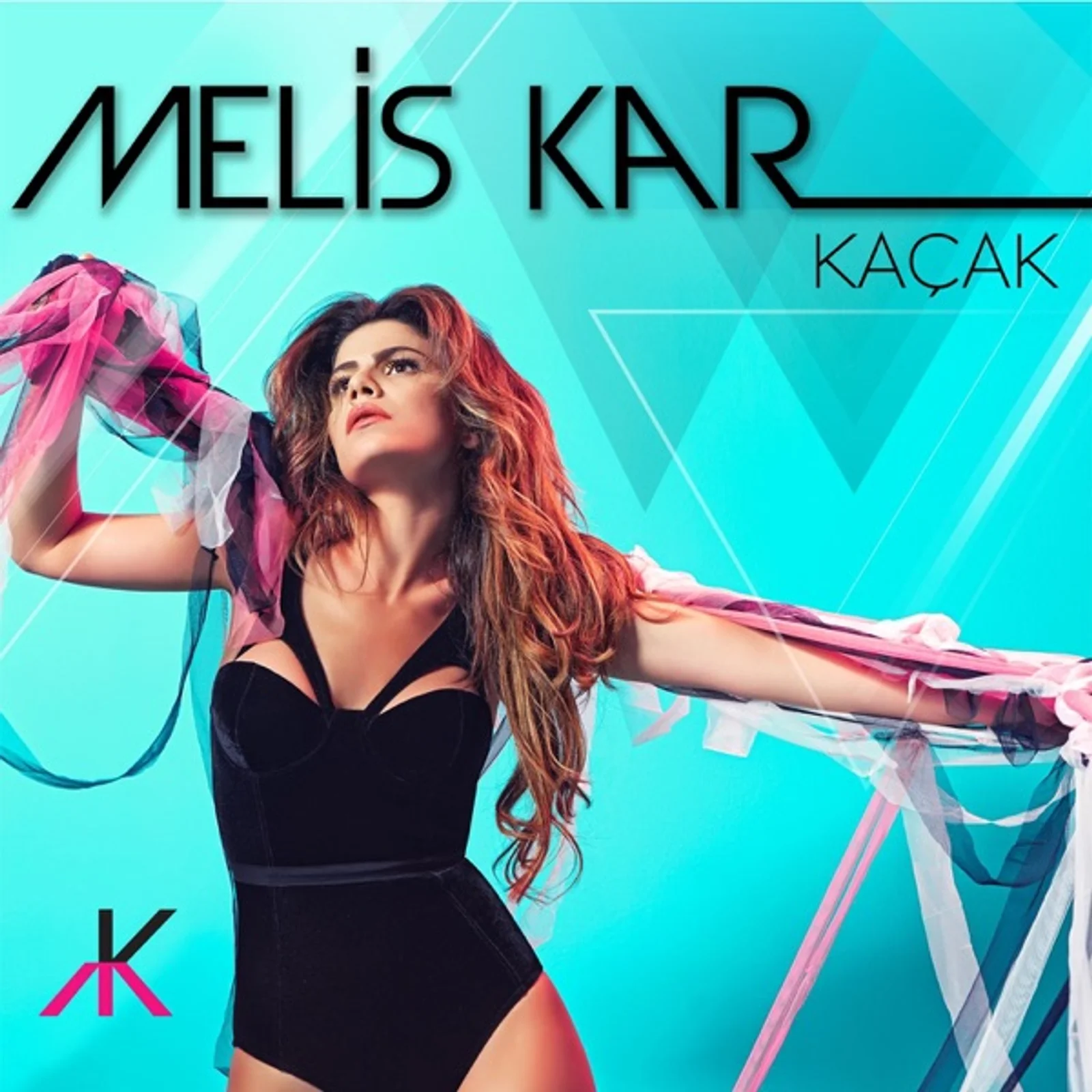 Kaçak (2014)