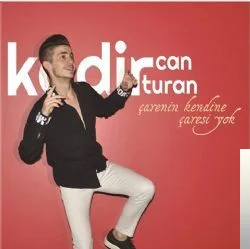 Çarenin Kendine Çaresi Yok (2017) cover