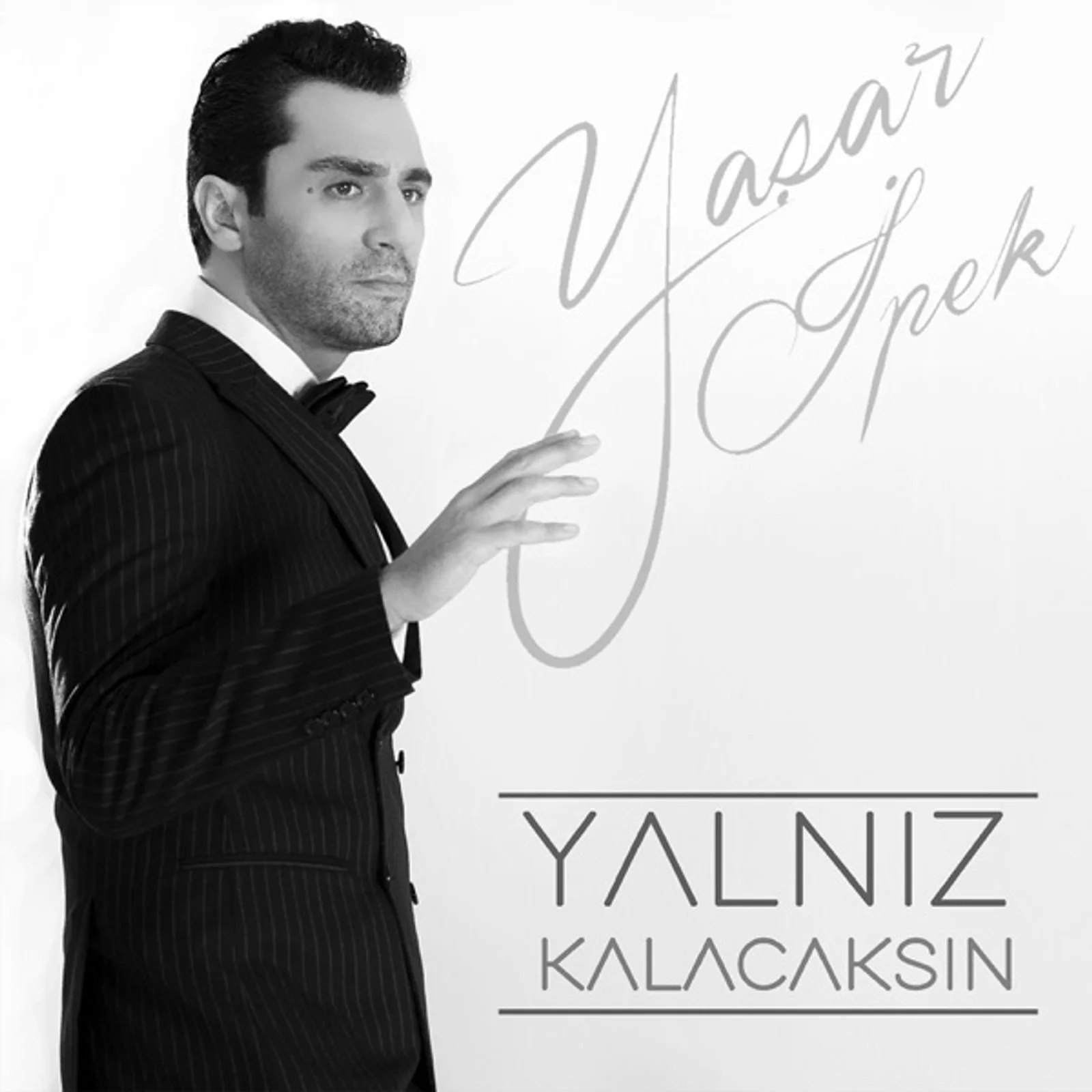Yalnız Kalacaksın (2017)