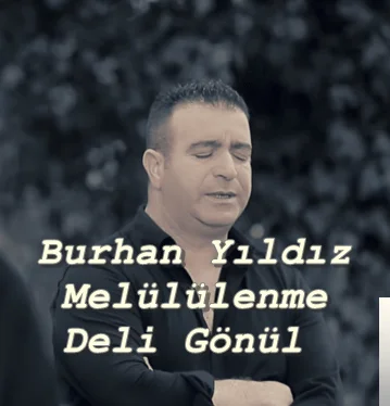 Melüllenme Deli Gönül (2017)