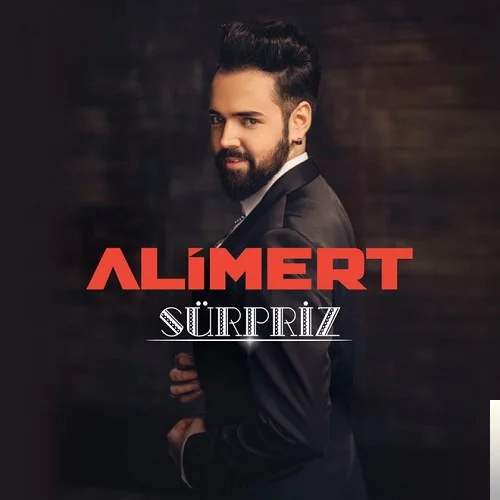 Sürpriz (2016)