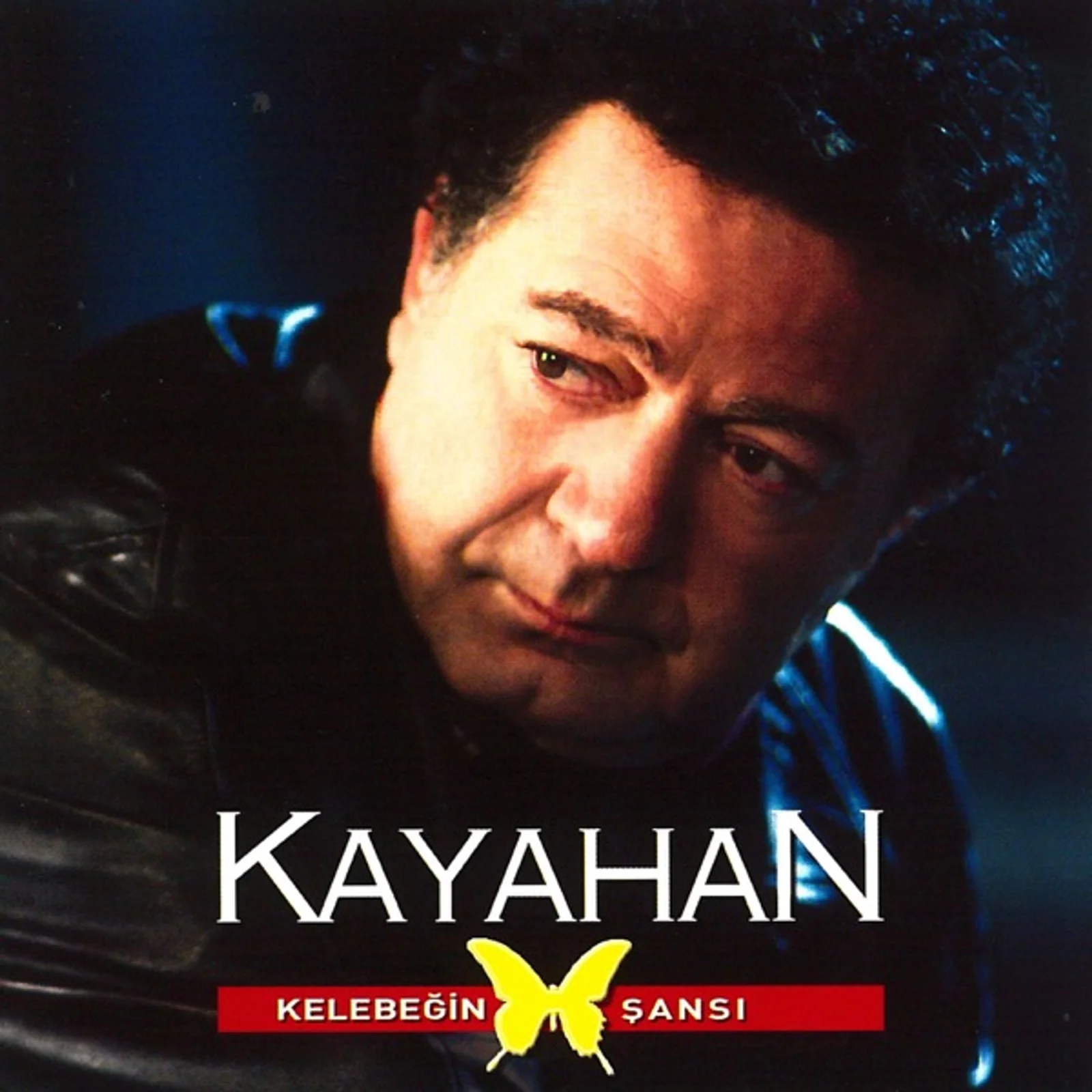 Kelebeğin Şansı (2004)