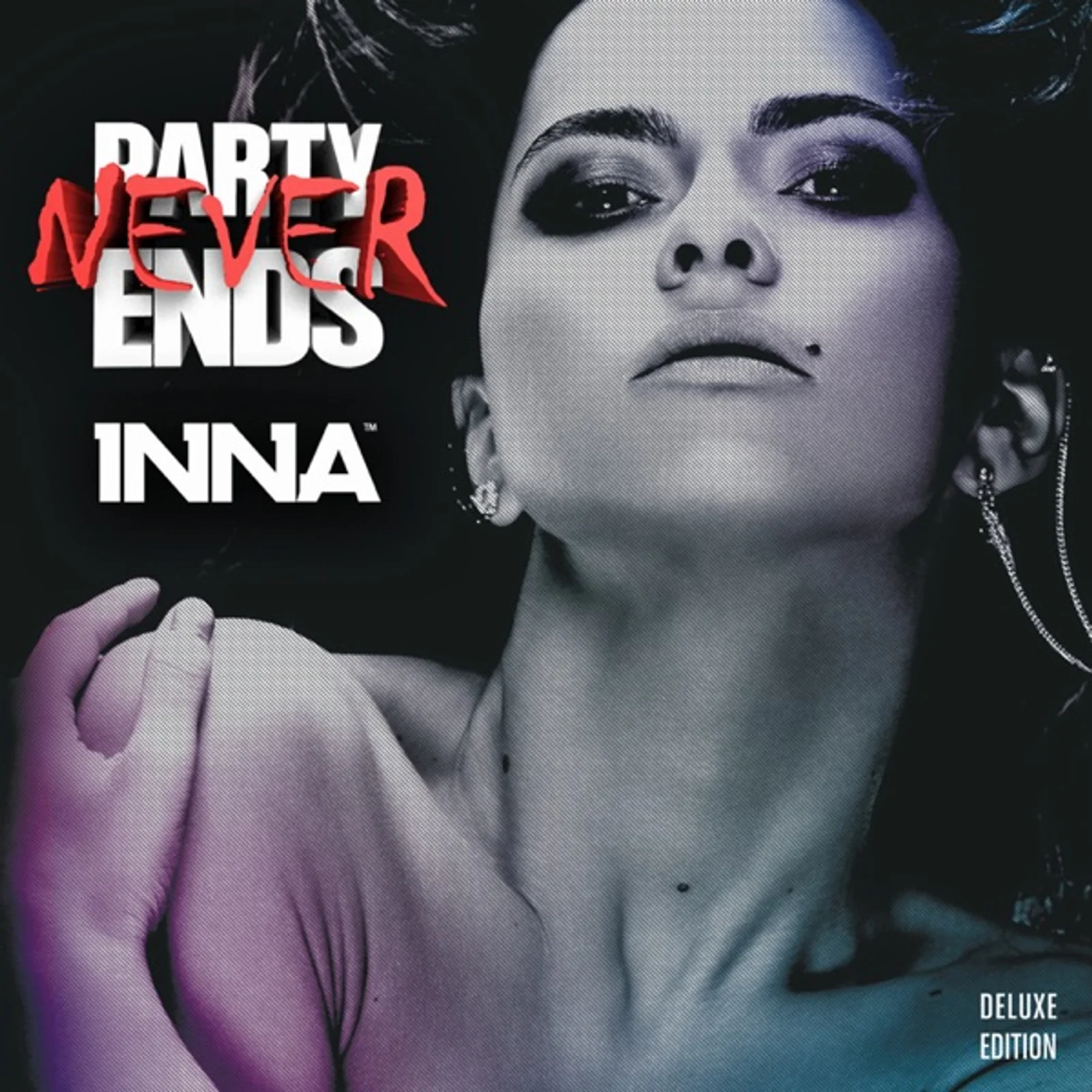 Part Never Ends (2013)