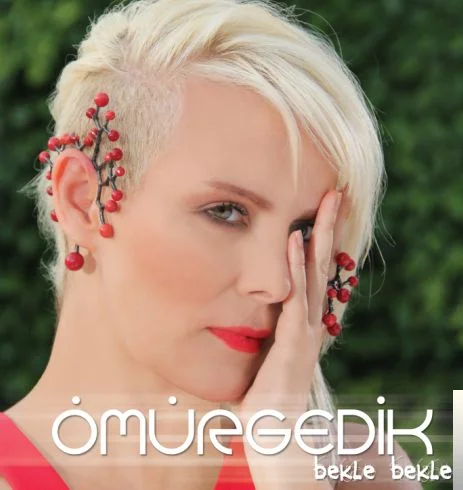 Bekle Bekle (2014)