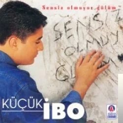 Sensiz Olmuyor (2000)