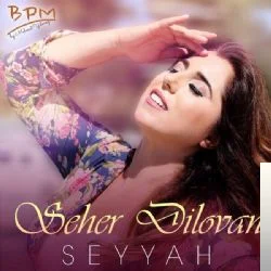 Seyyah (2018)