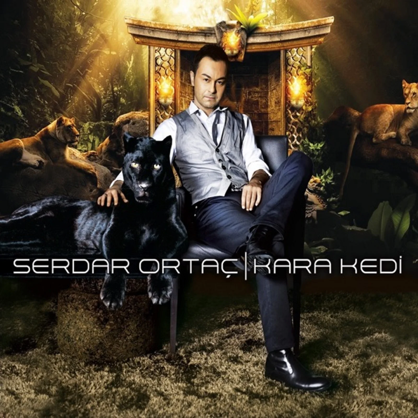 Kara Kedi (2010)