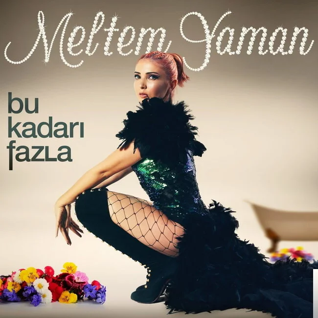Bu Kadarı Fazla (2018)