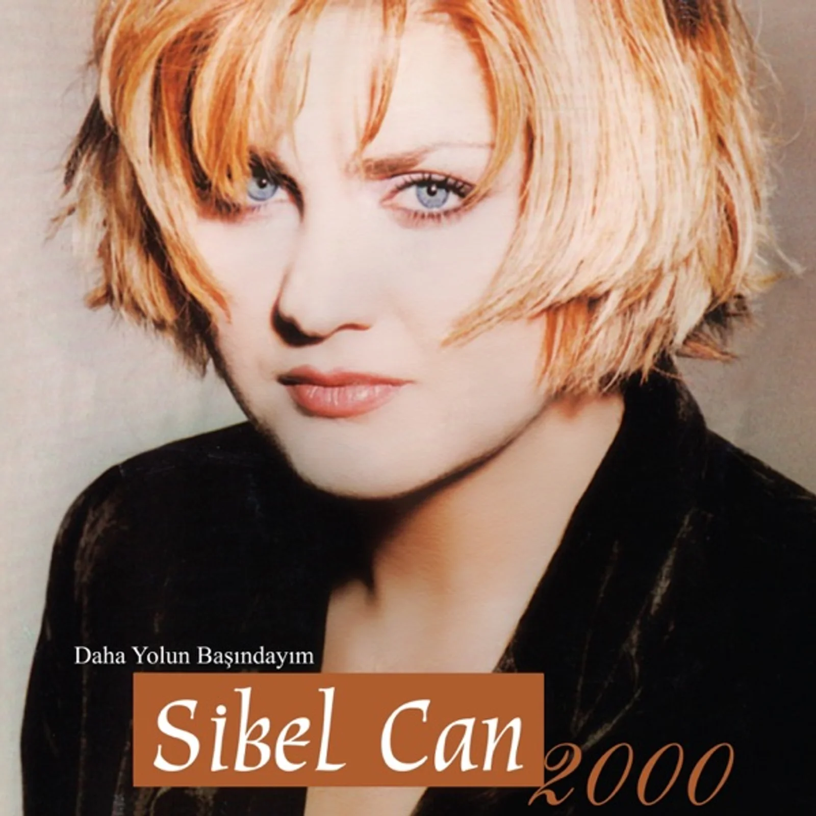 Daha Yolun Başındayım (2000)