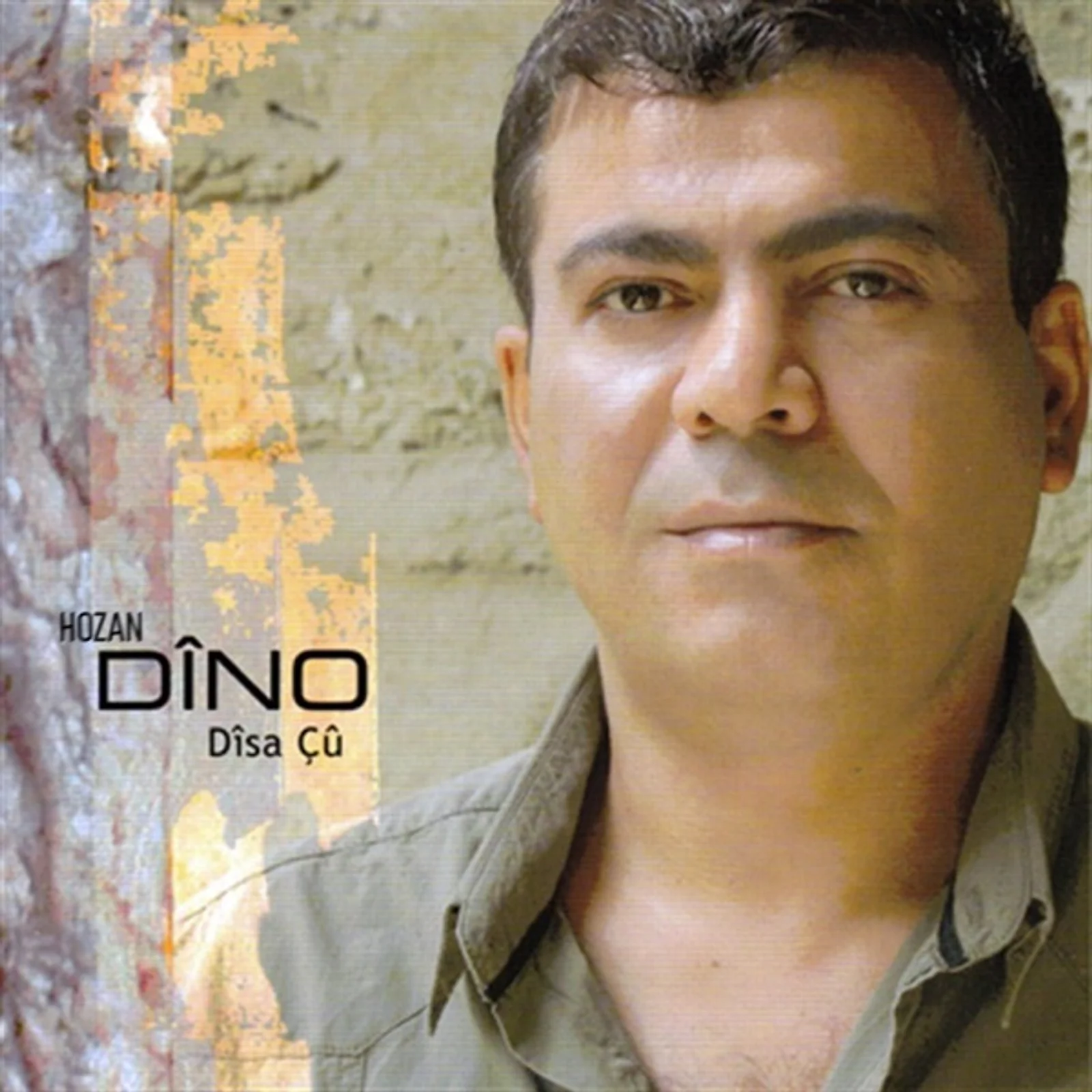 Disa Çu (2010)