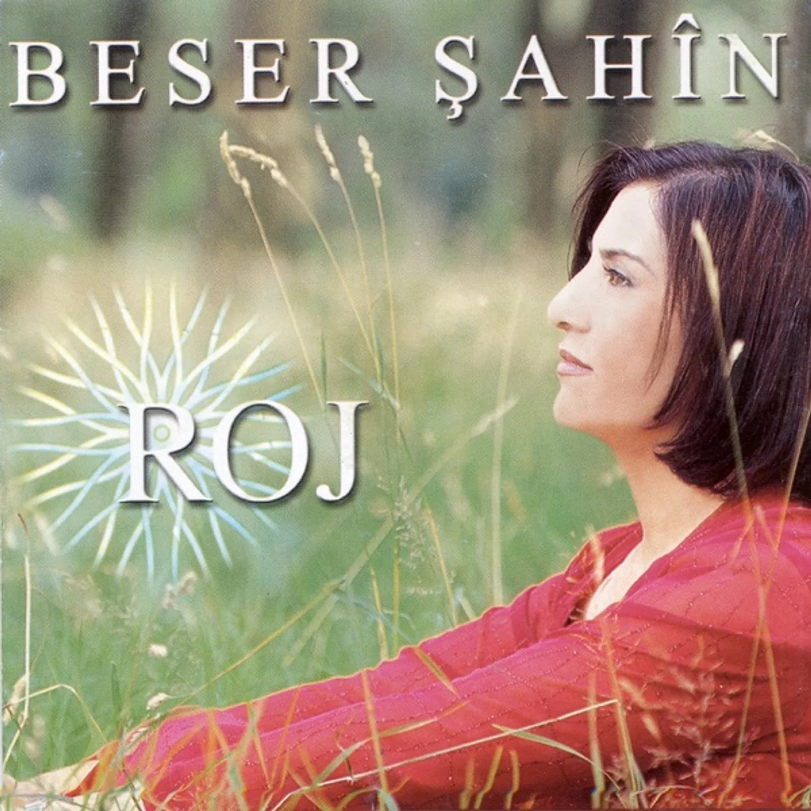 Roj (2004)