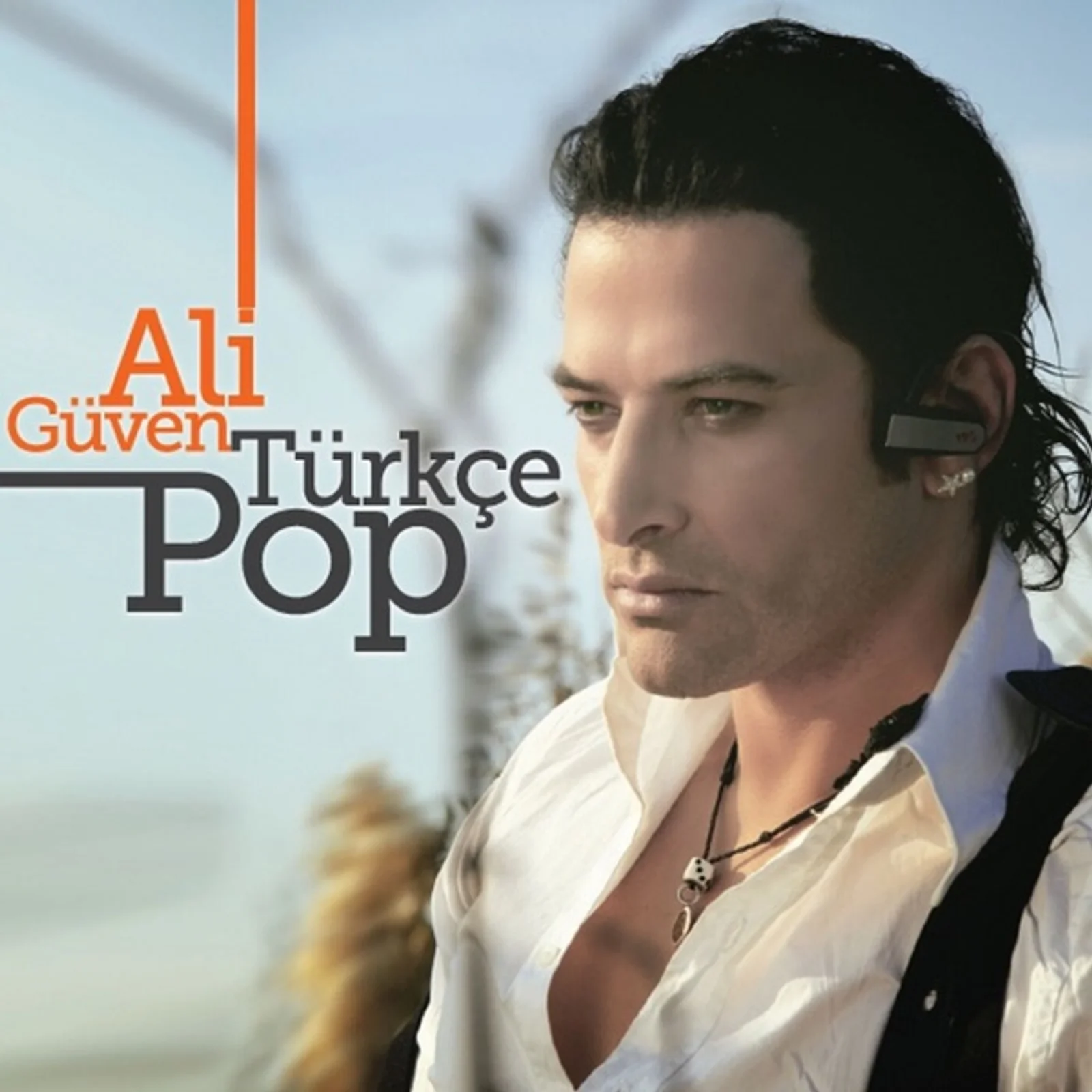 Türkçe Pop (2012)