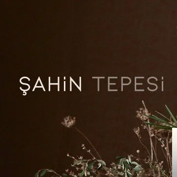 Şahin Tepesi