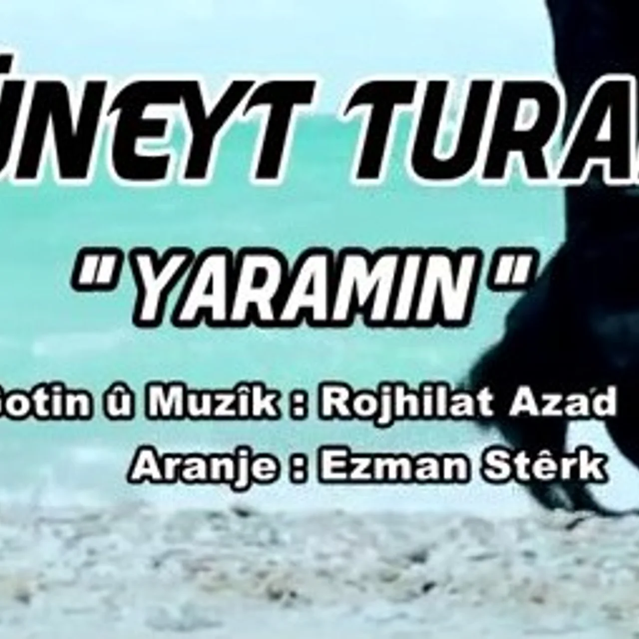 Cüneyt Turan - Turan Evin U Mırın