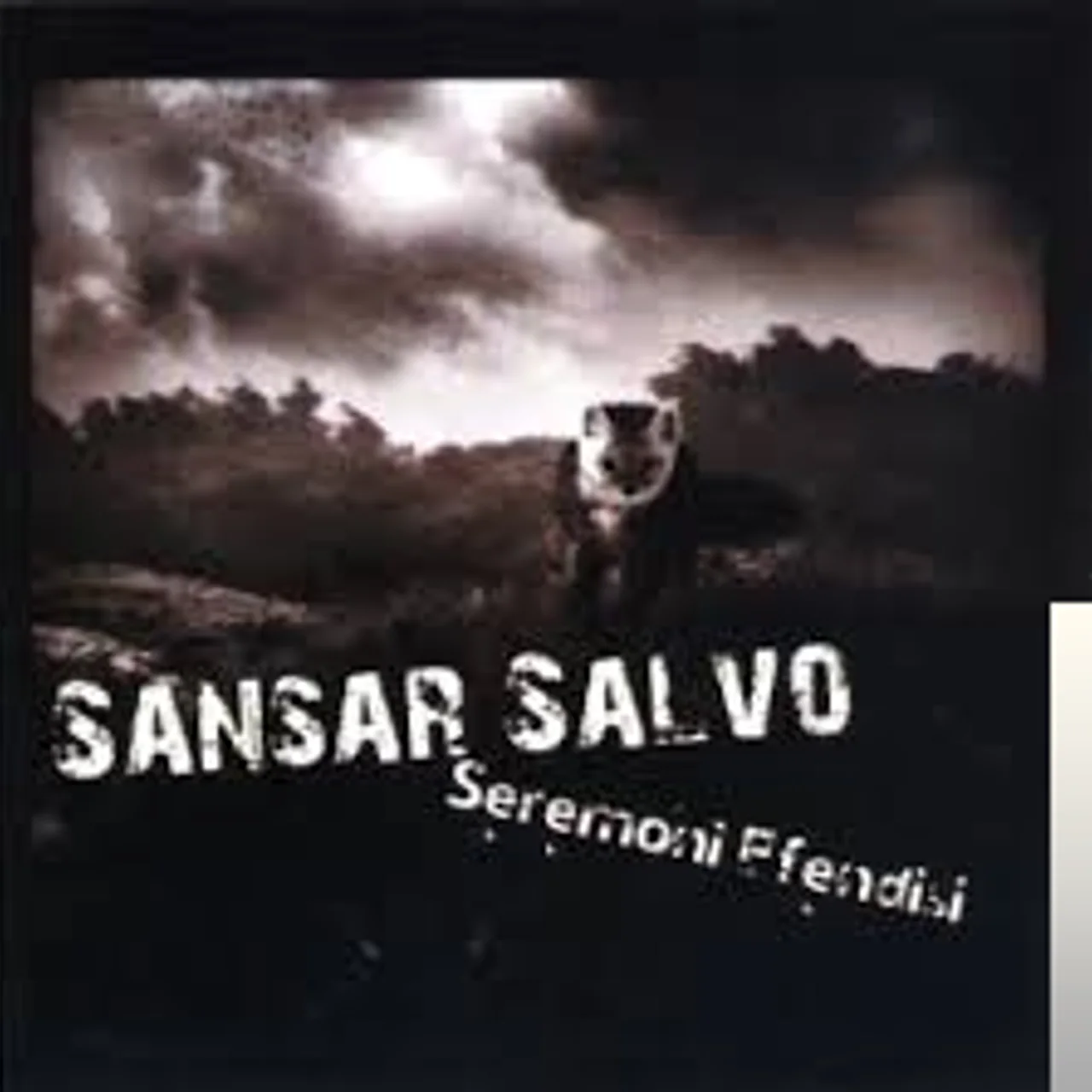 Sansar Salvo - Çapraz Kültür Avantajı