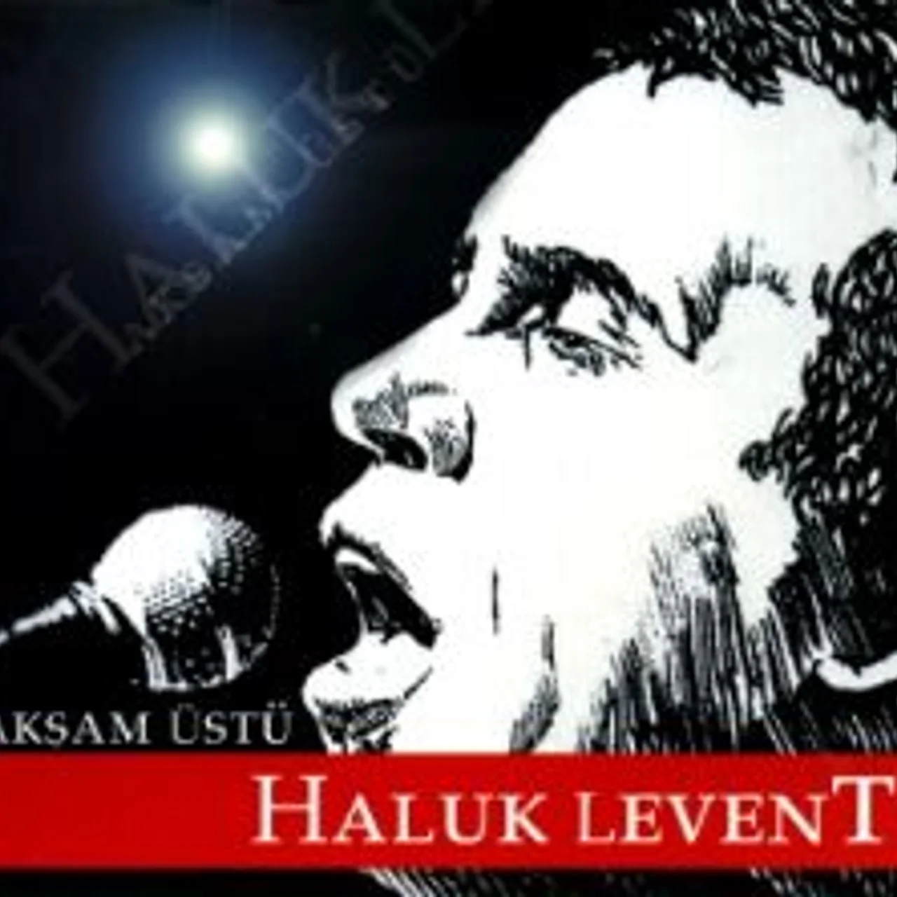 Haluk Levent - Hoşgeldin