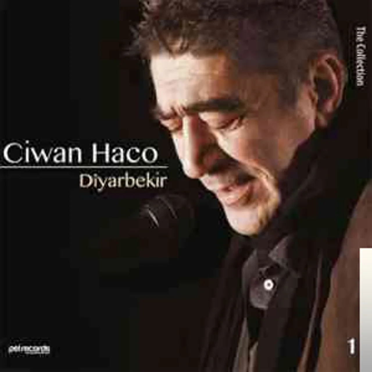 Ciwan Haco - Te Zu Te Derani