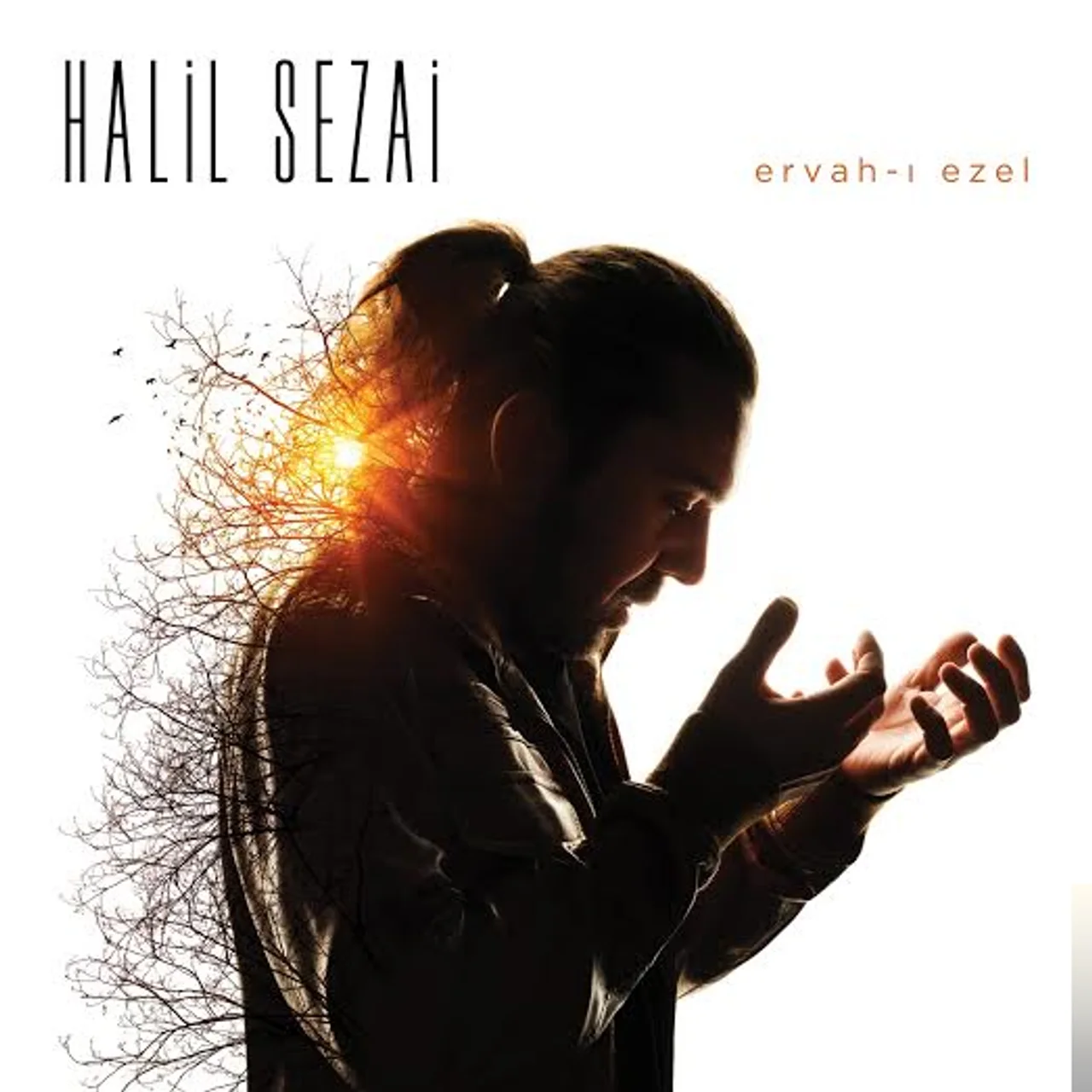 Halil Sezai - Vurgun