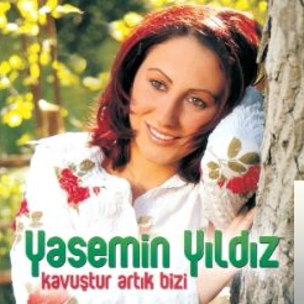 Yasemin Yıldız - Bırakında Öleyim