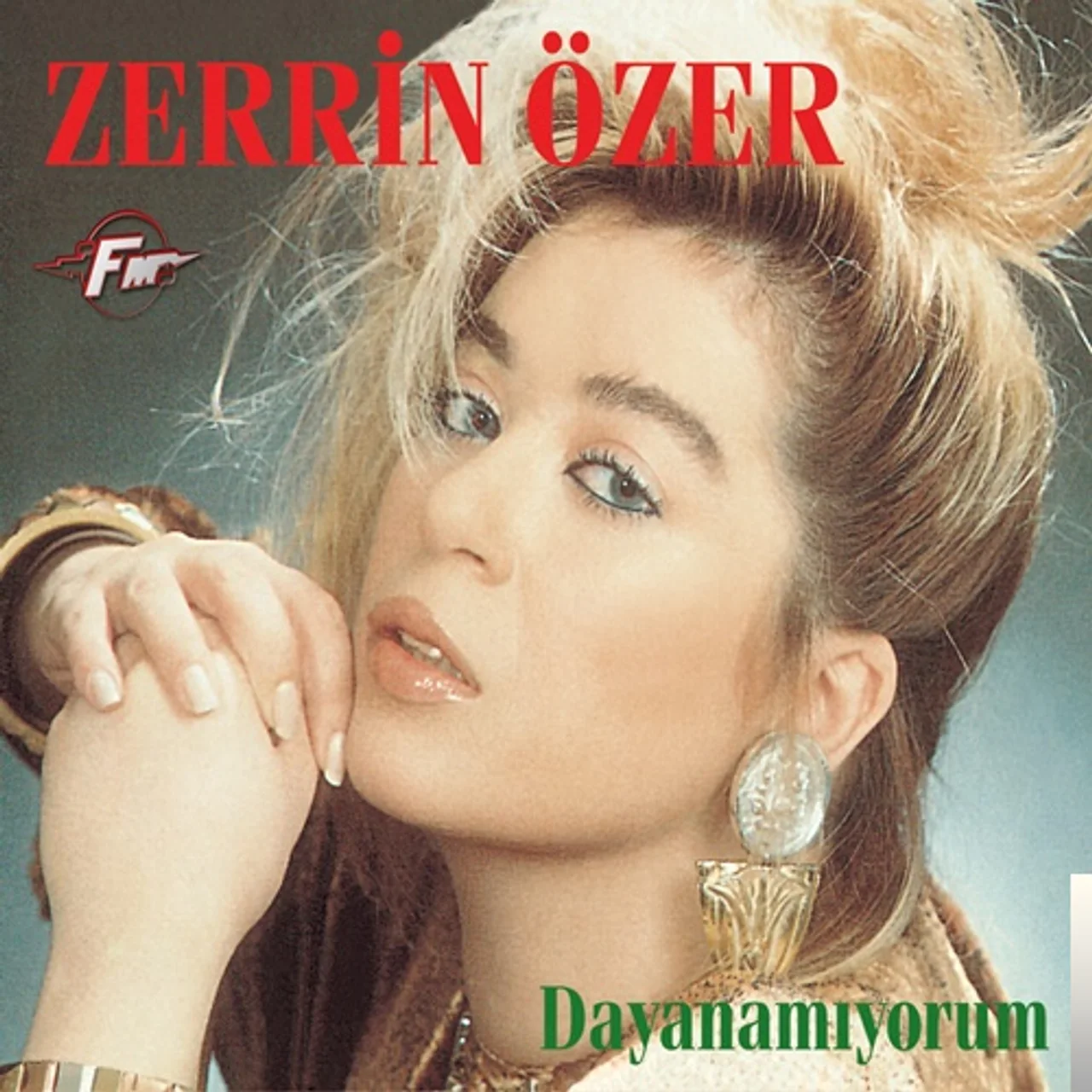 Zerrin Özer - Dayanamıyorum